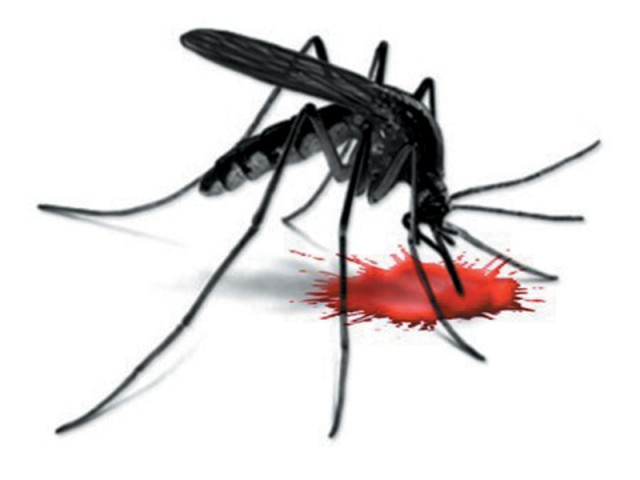 Dedetização de Dengue na Consolação